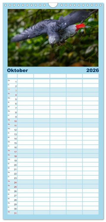 Produktbild: Familienplaner 2026 - Papageien - Frech, sch&ouml;n und schlau mit 5 Spalten (Wandkalender, 21 x 45 cm) CALVENDO