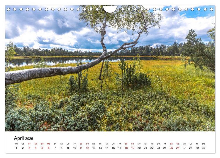 Produktbild: Schwarzwald, Seen und Hochmoore (Wandkalender 2026 DIN A4 quer), CALVENDO Monatskalender