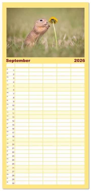 Produktbild: Familienplaner 2026 - Zauberhafte Ziesel mit 5 Spalten (Wandkalender, 21 x 45 cm) CALVENDO