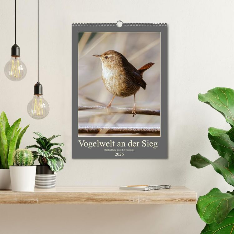 Produktbild: Vogelwelt an der Sieg (Wandkalender 2026 DIN A3 hoch), CALVENDO Monatskalender