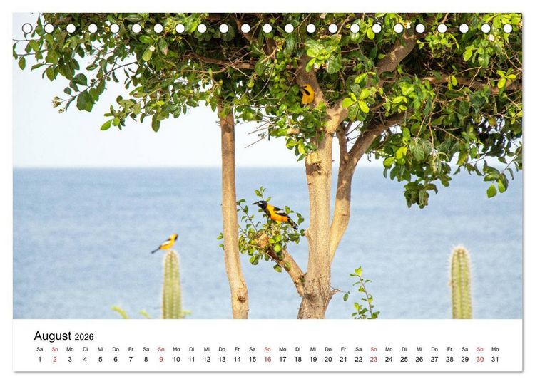 Produktbild: Curacao, die facettenreiche Karibikinsel (Tischkalender 2026 DIN A5 quer), CALVENDO Monatskalender