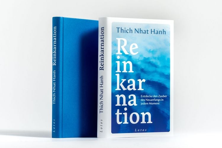 Produktbild: Reinkarnation