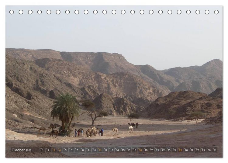 Produktbild: Impressionen Kameltrekking Sinai 2026 (Tischkalender 2026 DIN A5 quer), CALVENDO Monatskalender