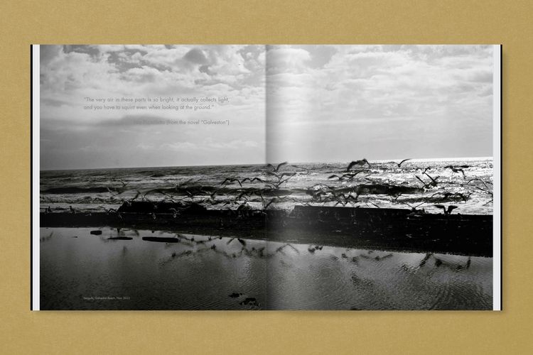 Produktbild: GTX. Galveston/TX and the Gulf Coast