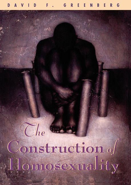 Produktbild: The Construction of Homosexuality