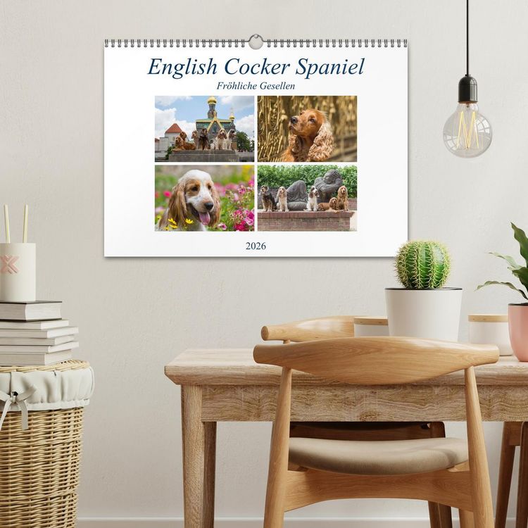 Produktbild: English Cocker Spaniel - Fr&ouml;hliche Gesellen (Wandkalender 2026 DIN A3 quer), CALVENDO Monatskalender