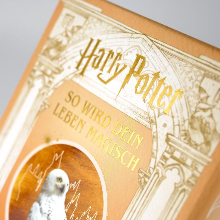 Produktbild: Harry Potter: So wird dein Leben magisch