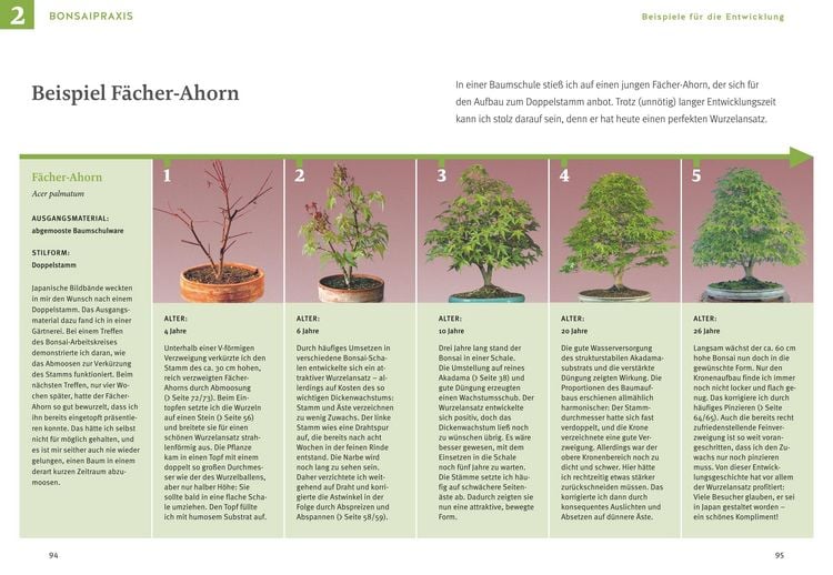 Produktbild: Bonsai ziehen, gestalten und pflegen