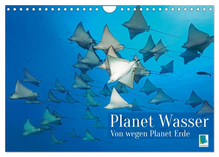 Produktbild: Planet Wasser: Von wegen Planet Erde (Wandkalender 2026 DIN A4 quer), CALVENDO Monatskalender