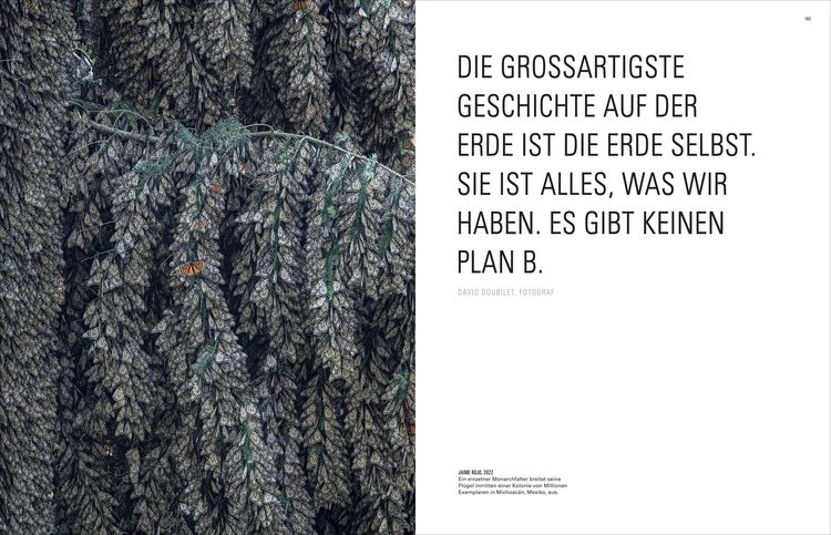 Produktbild: Ikonen der Fotografie