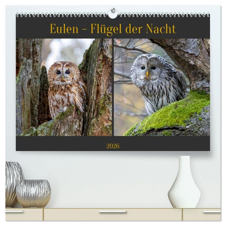 Produktbild: Eulen - Fl&uuml;gel der Nacht (hochwertiger Premium Wandkalender 2026 DIN A2 quer), Kunstdruck in Hochglanz