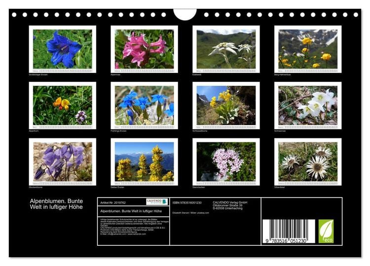 Produktbild: Alpenblumen. Bunte Welt in luftiger H&ouml;he (Wandkalender 2026 DIN A4 quer), CALVENDO Monatskalender