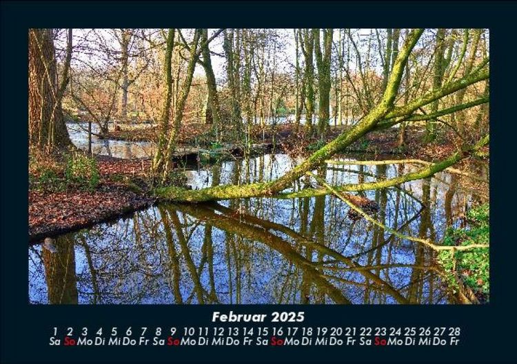 Produktbild: B&auml;ume 2025 Fotokalender DIN A5