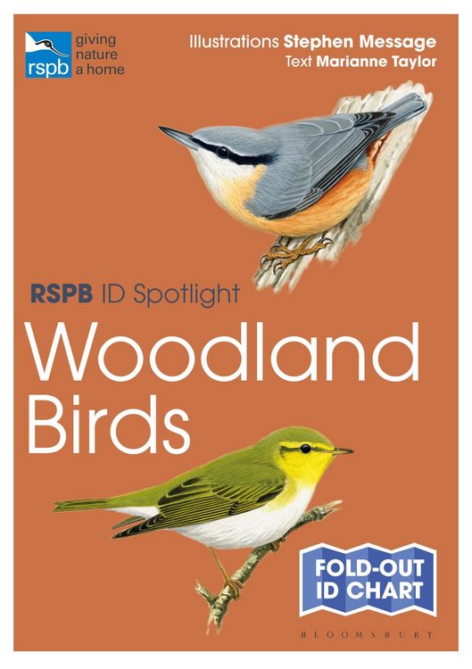 Produktbild: RSPB ID Spotlight - Woodland Birds