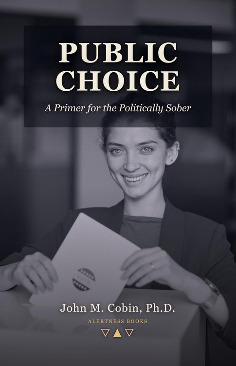 Produktbild: Public Choice: A Primer