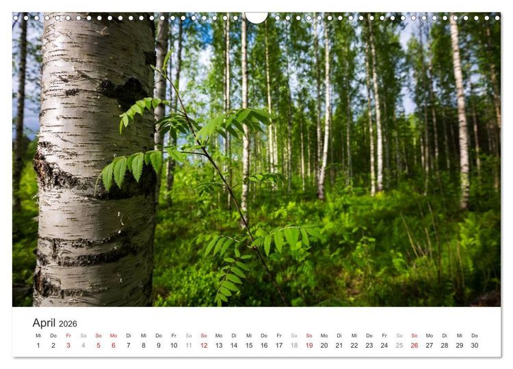 Produktbild: Landschaften Finnlands (Wandkalender 2026 DIN A3 quer), CALVENDO Monatskalender
