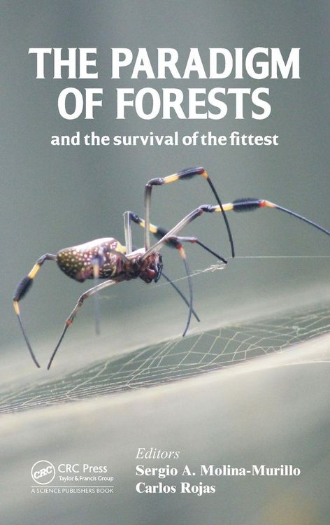 Produktbild: The Paradigm of Forests and the Survival of the Fittest