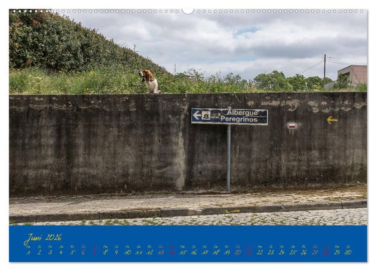 Produktbild: Camino 2026 (Wandkalender 2026 DIN A2 quer), CALVENDO Monatskalender