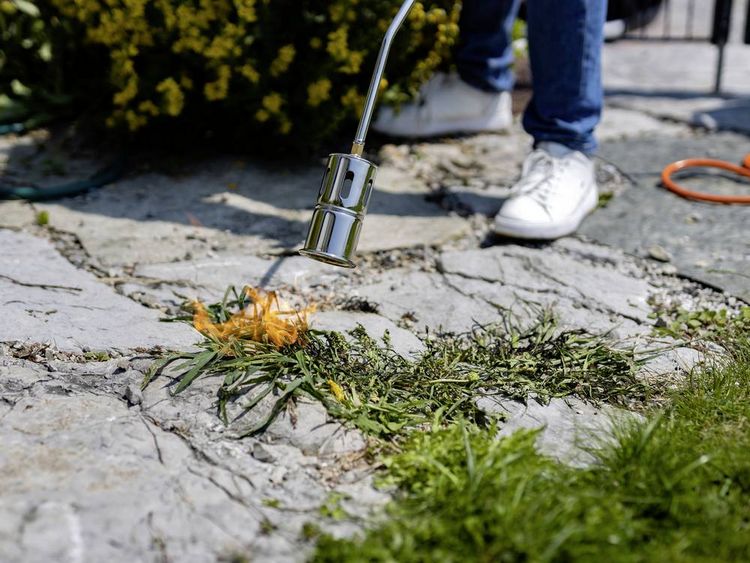 Produktbild: Rothenberger Anw&auml;rmbrenner 1060