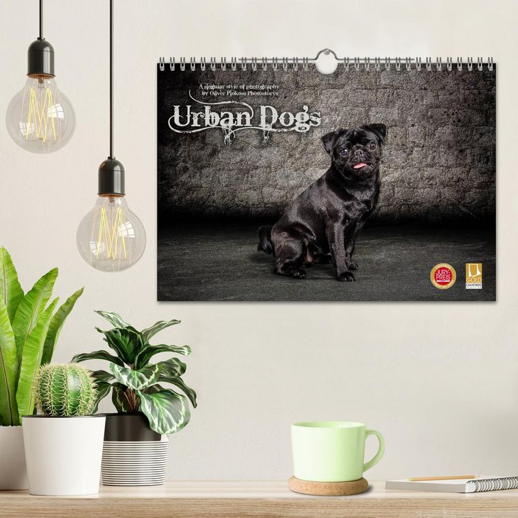 Produktbild: Urban Dogs - Hundekalender der anderen Art (Wandkalender 2026 DIN A4 quer), CALVENDO Monatskalender