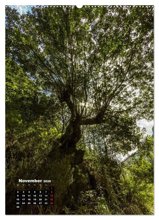 Produktbild: Levadas - Wasserwege auf Madeira (Wandkalender 2026 DIN A2 hoch), CALVENDO Monatskalender
