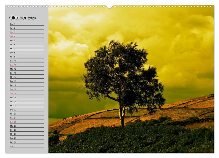 Produktbild: Magische B&auml;ume (hochwertiger Premium Wandkalender 2026 DIN A2 quer), Kunstdruck in Hochglanz