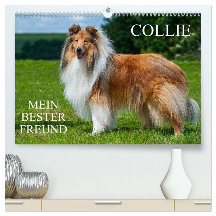 Produktbild: Collie - Mein bester Freund (hochwertiger Premium Wandkalender 2026 DIN A2 quer), Kunstdruck in Hochglanz