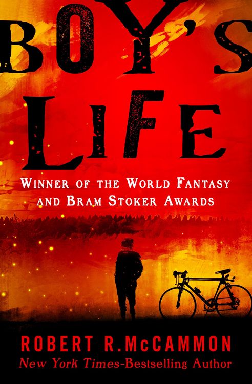 Produktbild: Boy's Life