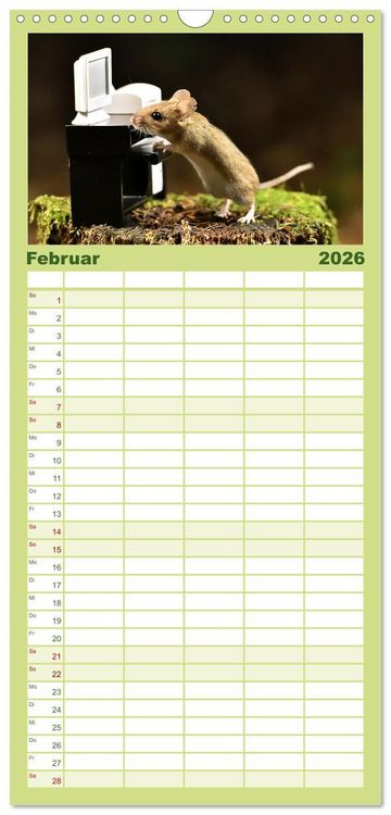 Produktbild: Familienplaner 2026 - Geheimes Waldleben mit 5 Spalten (Wandkalender, 21 x 45 cm) CALVENDO