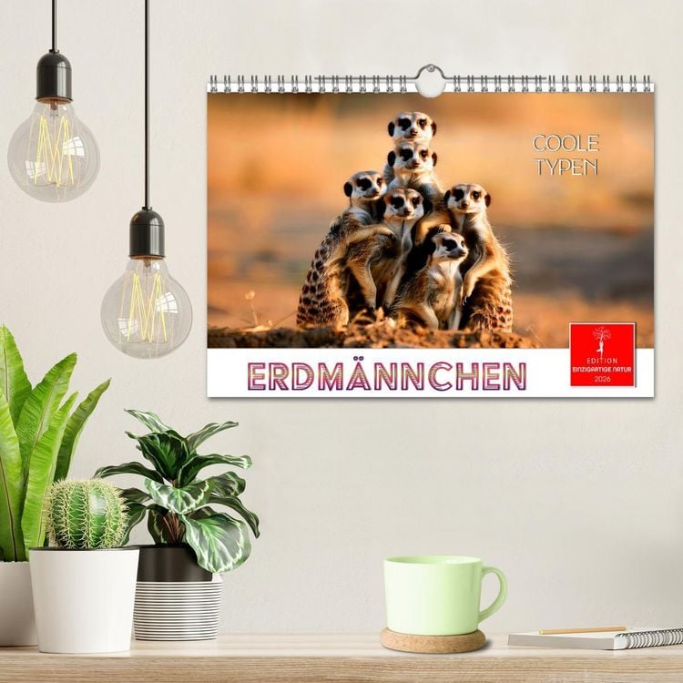 Produktbild: Erdm&auml;nnchen - coole Typen (Wandkalender 2026 DIN A4 quer), CALVENDO Monatskalender