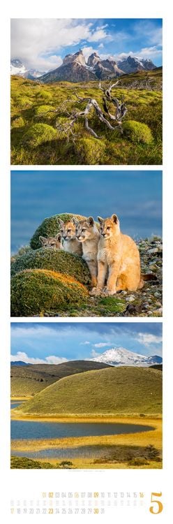 Produktbild: Nature Triplet-Kalender 2027
