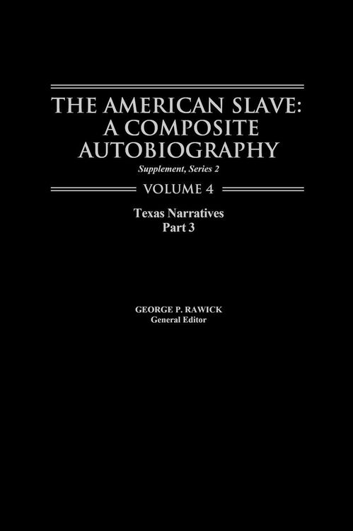 Produktbild: The American Slave