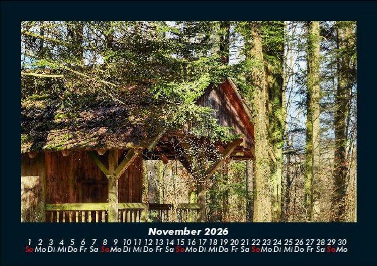 Produktbild: B&auml;ume 2026 Fotokalender DIN A5