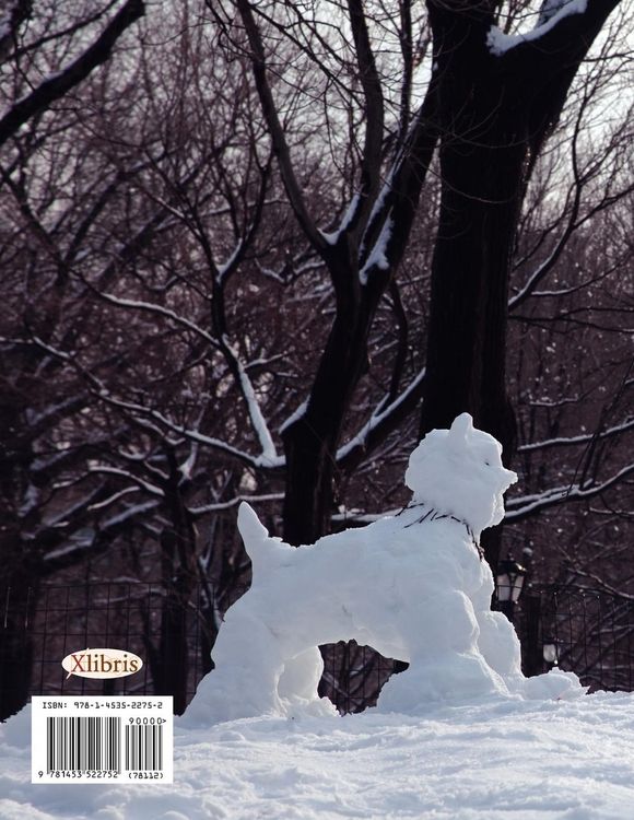 Produktbild: Big Apple In The Winter