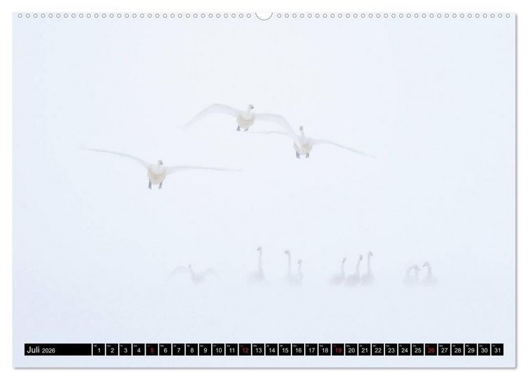 Produktbild: Japanische Vogelwelt im Winter (hochwertiger Premium Wandkalender 2026 DIN A2 quer), Kunstdruck in Hochglanz