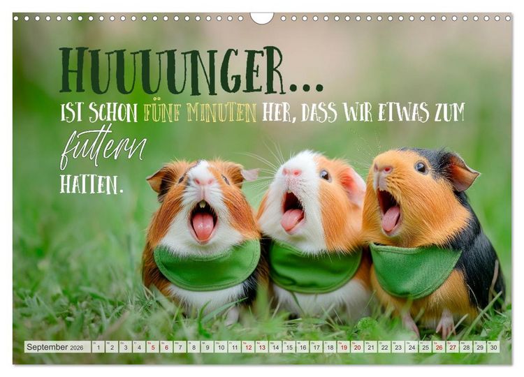 Produktbild: Meerschweinchen LUSTIG DURCHS JAHR (Wandkalender 2026 DIN A3 quer), CALVENDO Monatskalender