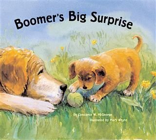 Produktbild: Boomer's Big Surprise
