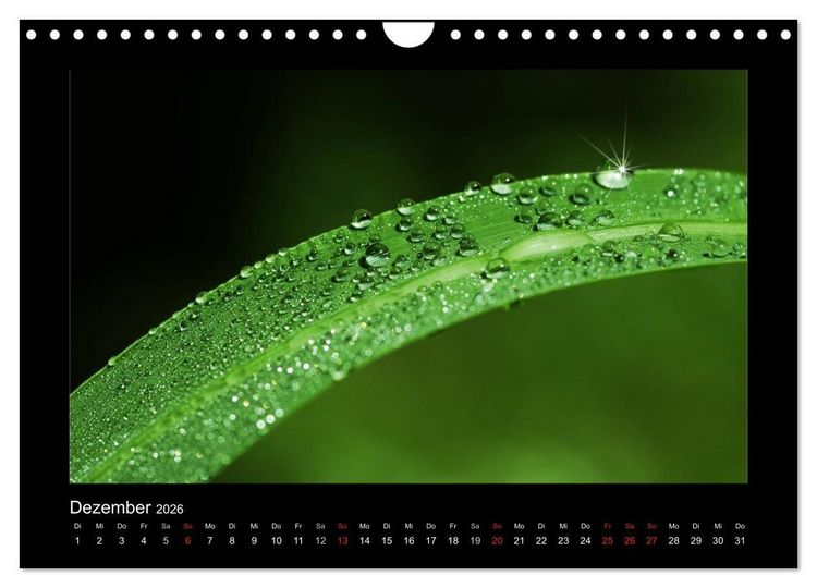 Produktbild: Meine kleine gr&uuml;ne Wassertropfen Welt (Wandkalender 2026 DIN A4 quer), CALVENDO Monatskalender