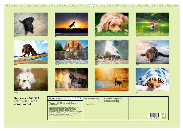 Produktbild: Retriever - Mit DIR hol ich die Sterne vom Himmel (Wandkalender 2026 DIN A2 quer), CALVENDO Monatskalender