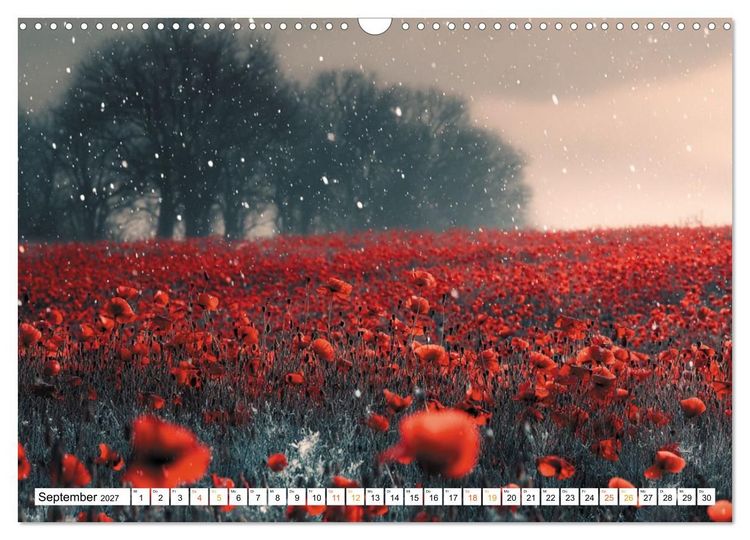 Produktbild: Mohn im Atem des Winters (Wandkalender 2027 DIN A3 quer), CALVENDO Monatskalender