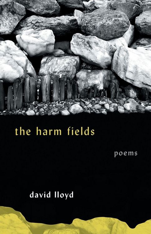 Produktbild: The Harm Fields