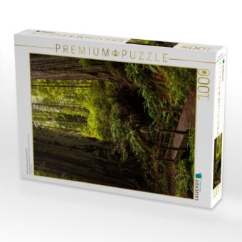Produktbild: CALVENDO Puzzle Redwood National and States Park | 1000 Teile Lege-Gr&ouml;&szlig;e 64x48cm Foto-Puzzle f&uuml;r gl&uuml;ckliche Stunden