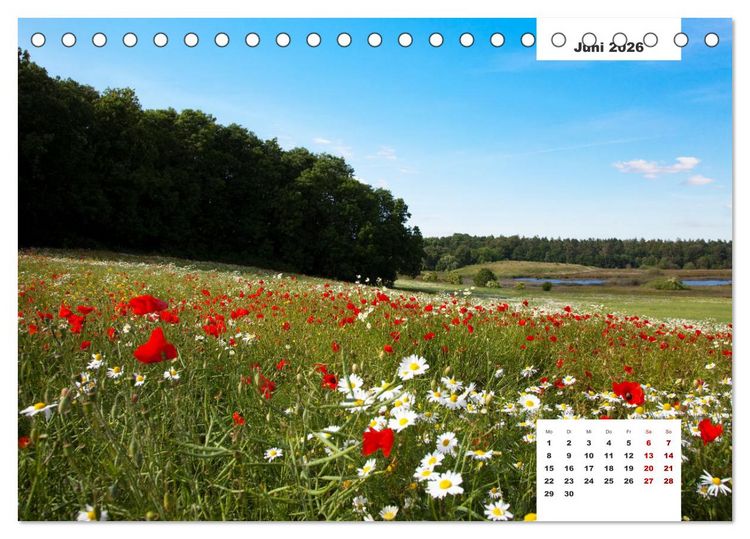 Produktbild: R&uuml;gen Panorama (Tischkalender 2026 DIN A5 quer), CALVENDO Monatskalender