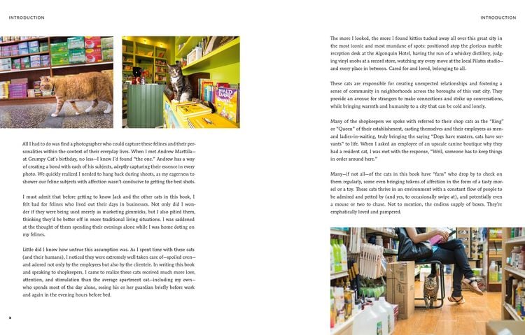 Produktbild: Shop Cats of New York (Revised and Expanded)