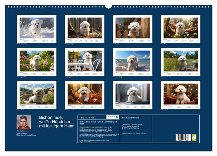 Produktbild: Bichon fris&eacute;, wei&szlig;e H&uuml;ndchen mit lockigem Haar (Wandkalender 2026 DIN A2 quer), CALVENDO Monatskalender