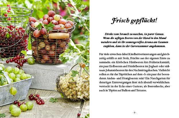 Produktbild: Das gro&szlig;e kleine Buch: Mein Naschgarten