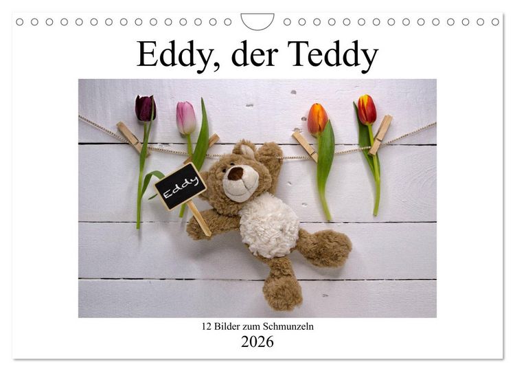 Produktbild: Eddy, der Teddy - 12 Bilder zum Schmunzeln (Wandkalender 2026 DIN A4 quer), CALVENDO Monatskalender