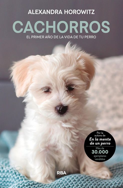 Produktbild: Cachorros