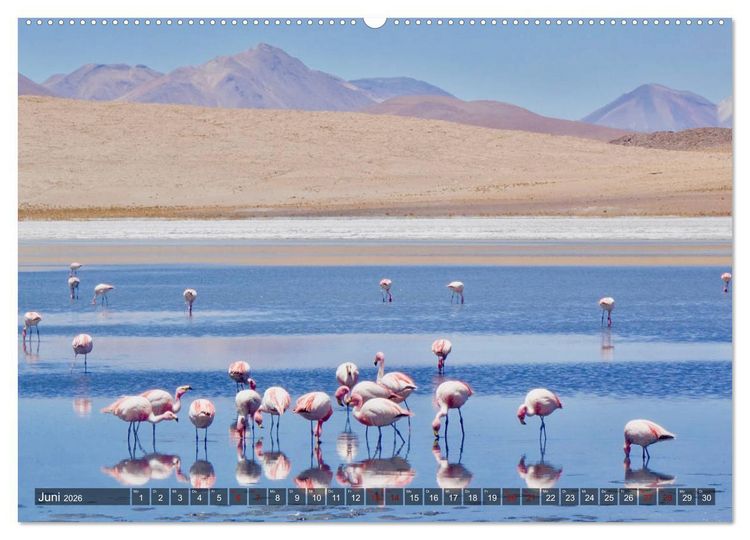 Produktbild: Peru Bolivien Chile (Wandkalender 2026 DIN A2 quer), CALVENDO Monatskalender