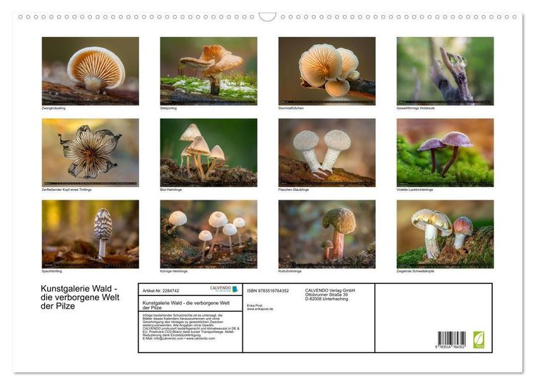 Produktbild: Kunstgalerie Wald - die verborgene Welt der Pilze (Wandkalender 2027 DIN A2 quer), CALVENDO Monatskalender